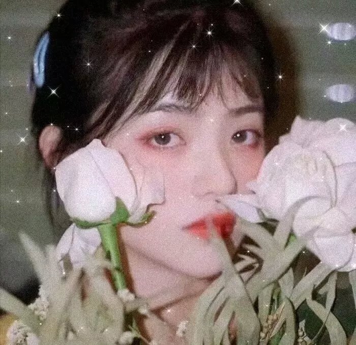樱花树下的时间胶囊