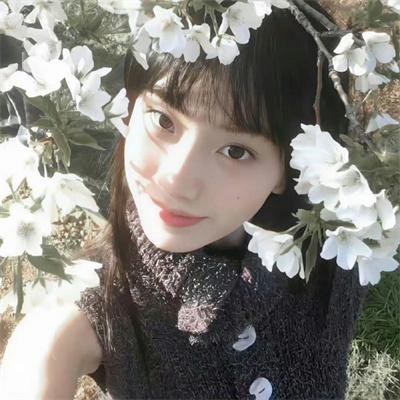几度菊花香